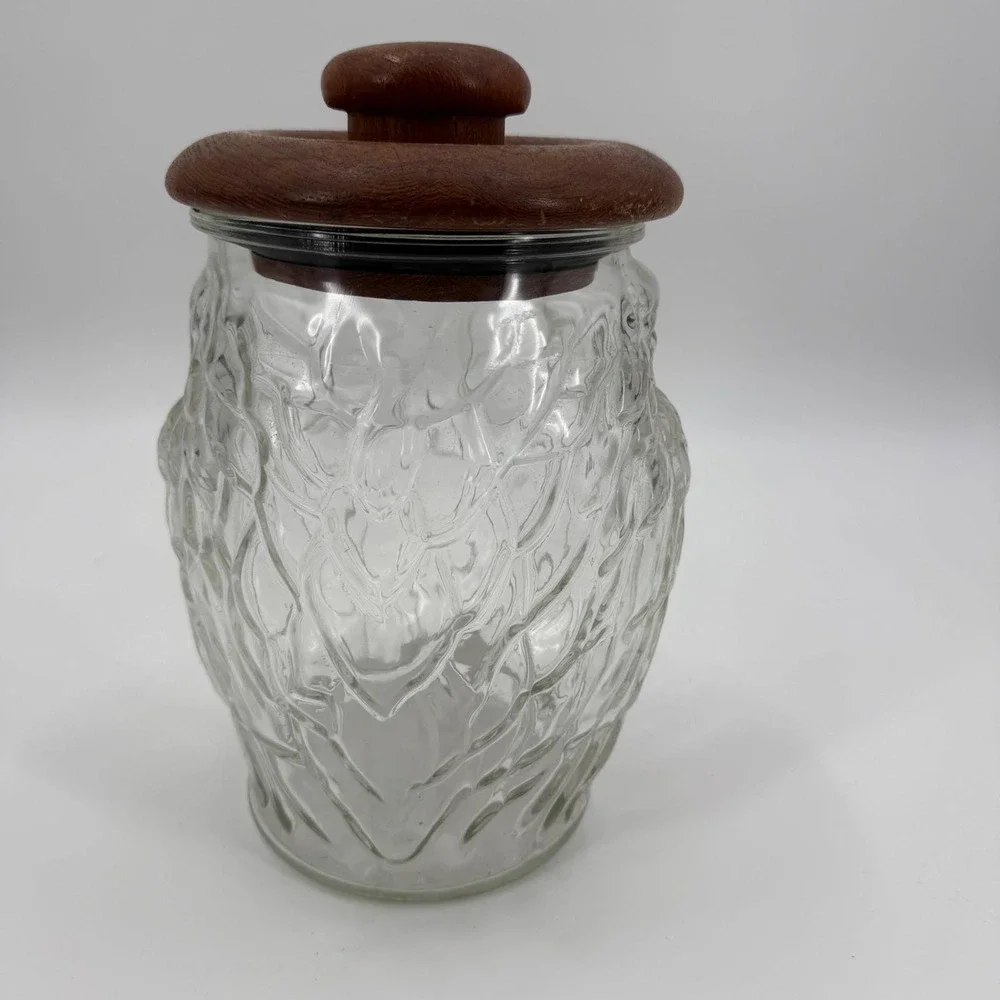 Vintage 70s Whimsical Glass Owl Kitchen Canister Storage Cookie Jar Teakwood Lid